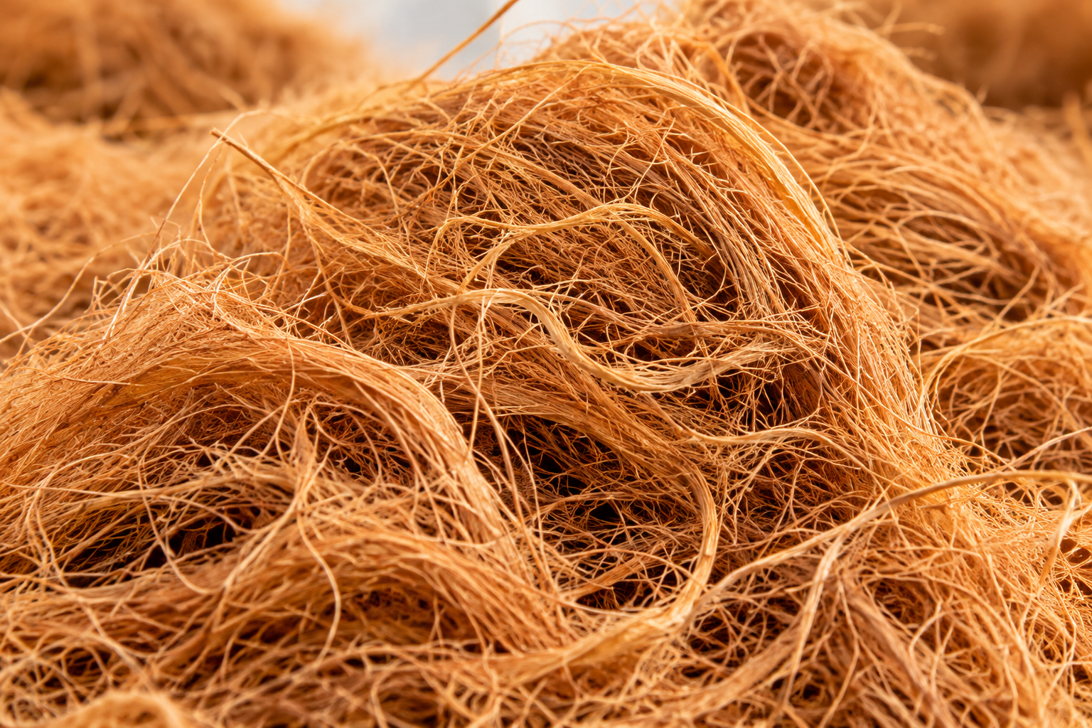 Fibre extraction process